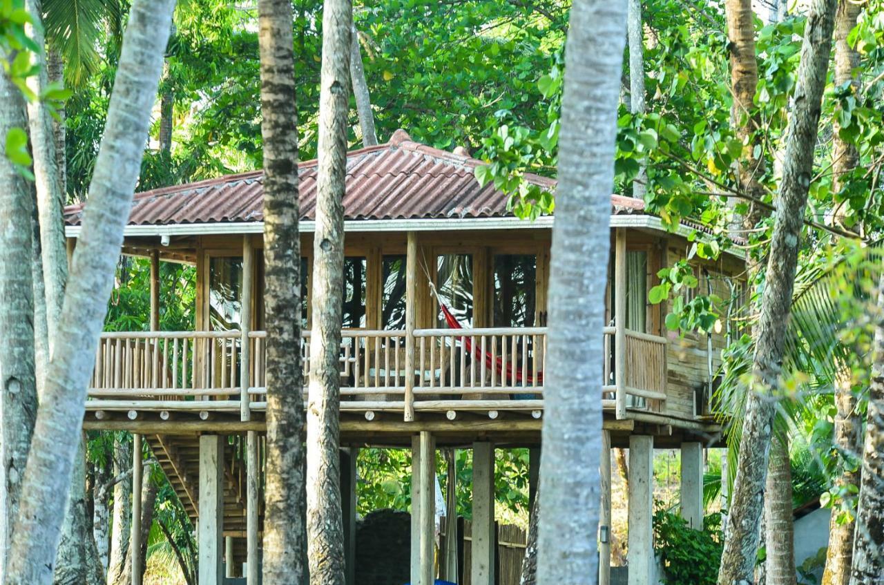 Hotel Oasis & Surf Camp Santa Catalina Εξωτερικό φωτογραφία